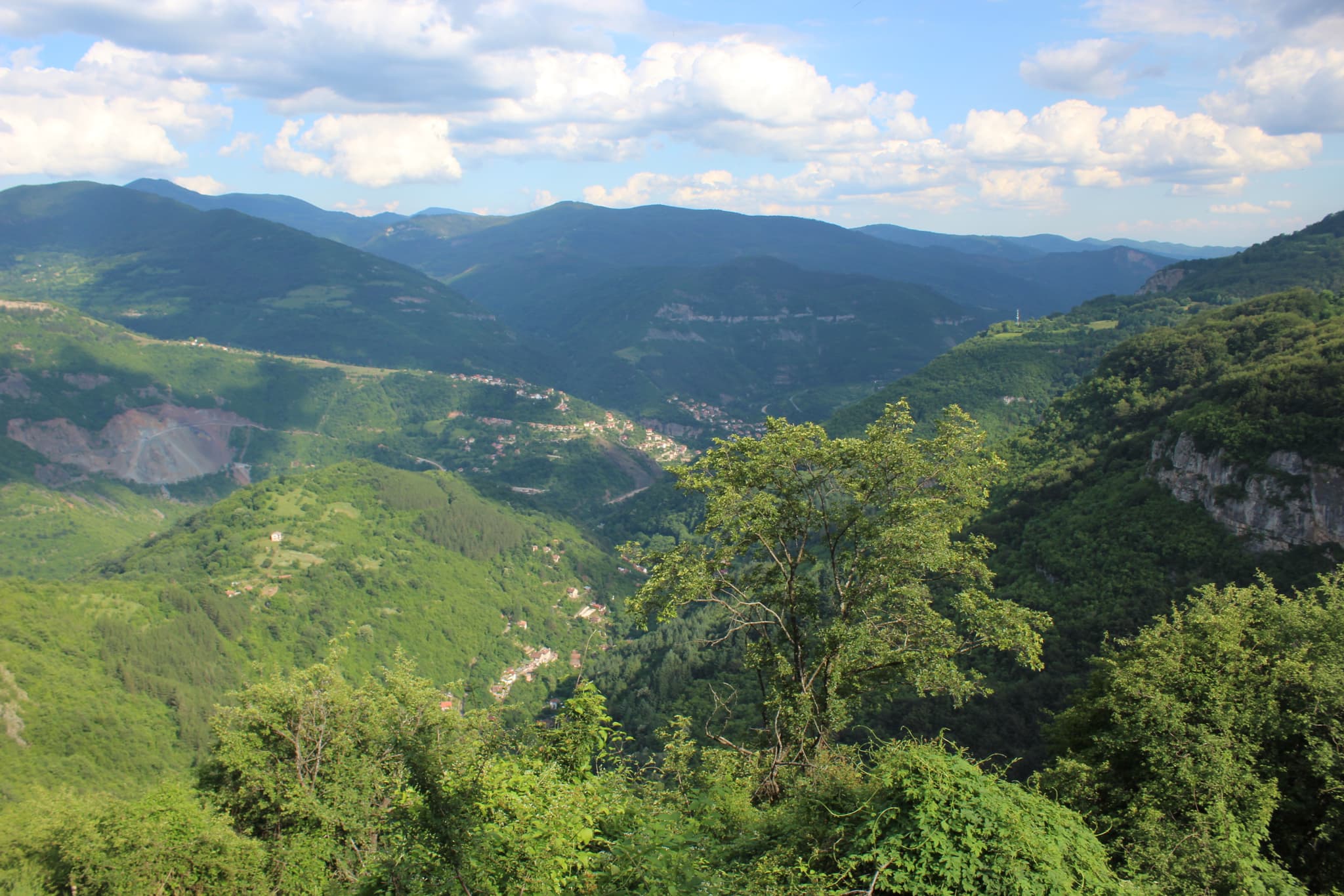 Флора и фауна