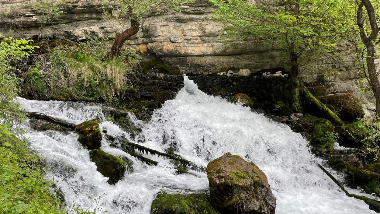 Извор Житолюб -най-късата река в България