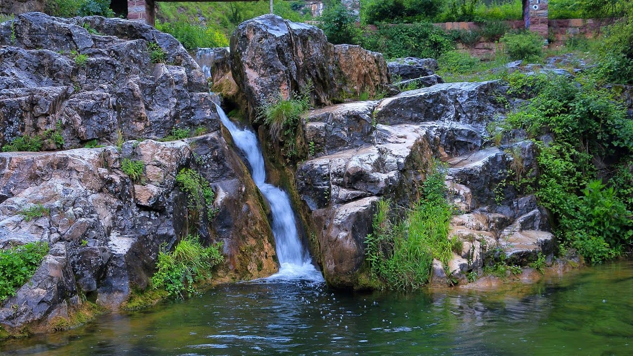 Петренски дол